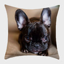 Axyaa French Bulldog Polyester Cushion Cover - Modern Sofa Throw Pillow Cover