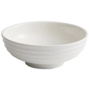 Axyaa Snail Noodle Japanese Salad Bowl High-End Basin for Sauerkraut Fish