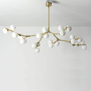 Axyaa Postmodern Glass Bean Branch Light - Nordic Design Molecular Lamp
