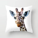 Axyaa Cute Cat Series Pillowcase: Square Office Decorative Cushion Cover