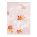 Axyaa Sakura Rose Peony Hot Air Balloon Wall Art Canvas Painting