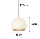 Axyaa Nordic Modern Lighting for Living Room Bedroom Home Furnishings and Desk Lamp