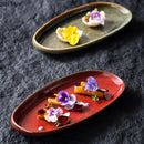 Axyaa Retro Oval Ceramic Sushi Plate Set | Restaurant Tableware for Molecular Cuisine
