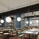 Axyaa Milk White Ball Pendant Lamp - Modern Minimalist Frosted Round Pendant Light