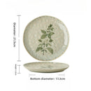 Axyaa Ceramic Shallow Dish: Western Pasta, Cake & Dessert Restaurant Arrangement