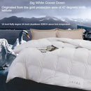 Axyaa Winter Duvet - White Goose Down Core, Double Thickened Quilt