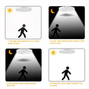 Axyaa Smart Sensor LED Ceiling Chandelier for Corridors, Aisles, and Stairs
