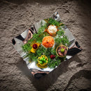 Axyaa Molecular Fusion Square Plate for Creative Dining