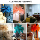 Axyaa French Feather Floor Lamp - Modern Romantic LED Light for Luxury Living Room