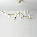 Axyaa Glass Ball Pendant Chandelier for Modern Living Room and Bedroom