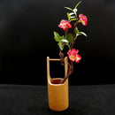 Axya Seafood Pose Bamboo Tube Sushi Sashimi Swing Plate