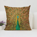 Axyaa Peacock Feathers Cushion Cover Set for Bed and Sofa