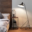 Axyaa Nordic LED Floor Lamps - Decorative Metal Table Lights for Living Room