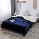 Axyaa Nordic Light Luxury Lamb Wool Flannel Double Layer Thick Quilt Blanket