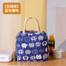Axyaa Cartoon Fruit Thermal Picnic Lunch Bag Drawstring Tote for Women
