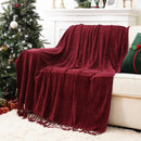 Axyaa Chenille Throw Blanket Fringe Tassels Soft Cozy Knit Sofa Christmas Decor