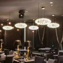 Axyaa Oval Spark Ball Stainless Steel Pendant Chandelier, LED Indoor Lighting Fixtures
