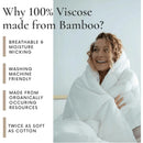 Axyaa Bamboo Comforter: All Season Queen Size, Soft Quilted Duvet Insert, Down Alternative