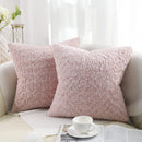 Axyaa Faux Fur Plush Pillow Cases Set of 2