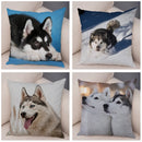 Siberian Husky Pillowcase - Axyaa Animal Cushion Cover, Decor, Cute, Dog Print