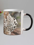Axyaa Leopard Ceramic Magic Color Changing Coffee Mug, 11oz