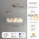 Axyaa Luxury Glass Crystal Chandelier for Living Room, Bedroom, and Study