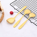 Axyaa Stainless Steel Large Rice Shovel Set for Kitchen Service