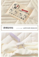 Axyaa Quilted Mattress Cover: Soft, Thick Cotton Protector for Bed, Antibacterial & Cushioned
