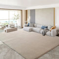 Axyaa Gray Coral Fleece Living Room Rug for Sofa, Coffee Table, Kids Bedroom