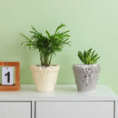 Axyaa Ceramic Flower Pots with Relief Pattern for Succulents and Home Decor