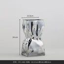 Axyaa Glass Hydroponic Vase for Home Decor and Flowers