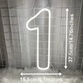 Axyaa Neon Numbers 0-9 Light Sign: Personalized Wall Art for Home Decor, Celebrations