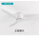 Axyaa Large Retro Ceiling Fan for Living Room - Simple Design Electric Ceiling Lamp