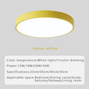 Axyaa Modern Macaron Ceiling Light for Living Room Bedroom Study Balcony