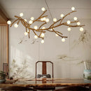 Axyaa Glass Ball Chandelier Pendant Lamp for Home Indoor Lighting