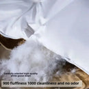 Luxury Axyaa White Goose Down Duvet Core - Warm, Double-Single Size