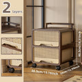 Axyaa Large Capacity Assemblable Storage Cart and Closet Organizer