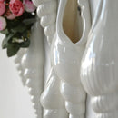 Axya Modern Conch Bar Wall Vase Decoration for Creative Home Background