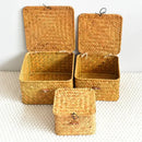 Axyaa Rattan Wicker Shelf Basket: Handwoven Rectangular Organizer for Home Storage
