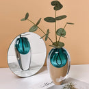 Axyaa Transparent Thick Bottom Glass Vase for Hydroponic Flower Arrangement