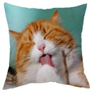 Axyaa Cat Design Sofa Cushion Cover 45x45cm
