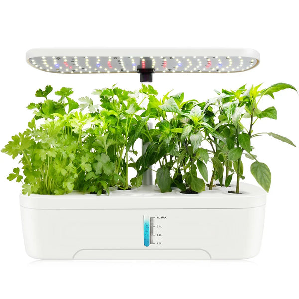 Axya Indoor Herb Garden Kit with Automatic LED Grow Lights & Smart Water Pump