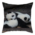 Axyaa Koala Panda Polyester Pillow Cover 45x45cm