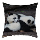 Axyaa Koala Panda Polyester Pillow Cover 45x45cm