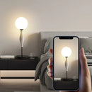 Axyaa Glass Shade Nordic Floor Lamp for Living Room Bedroom Study Decor