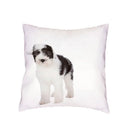 Siberian Husky Dogs Cushion Cover 45X45CM by Axyaa