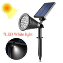 Axyaa Solar RGB Lawn Spotlight for Garden Decoration