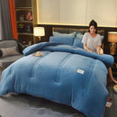 Axyaa Double-Sided Milk Wool Lamb Wool Warm Thick Winter Quilt Core