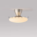 Axyaa Modern Designer Nickel Ceiling Light with Pot Lid, LED Indoor Lamp