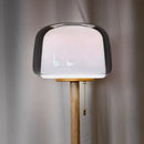 Axyaa Glass Floor Lamp | Modern LED Desk Light for Living Room & Bedroom